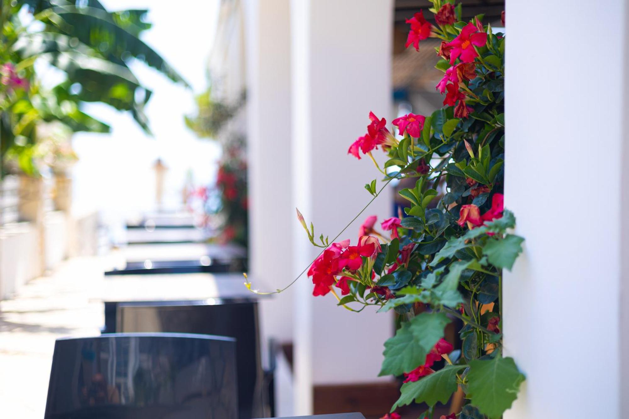 Royal Blue Hotel Дхерми Экстерьер фото